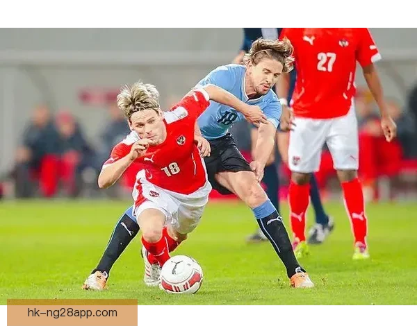 沙尔克签下奥地利中场柳比契奇