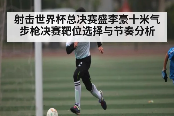 射击世界杯总决赛盛李豪十米气步枪决赛靶位选择与节奏分析 - ng28